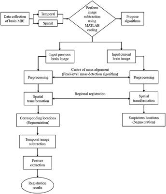 Brain Tumour Temporal Monitoring of Interval Change Using Digital Image Subtraction Technique